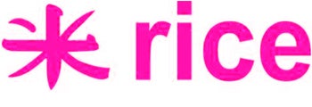 Rice