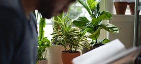 6 geweldige boeken voor plantenliefhebbers