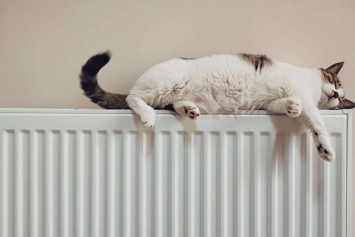 5x kosten besparen op je energierekening TIP #1: houd de warmte binnen