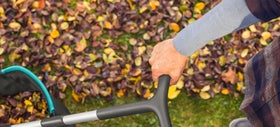 Waar laat je al die herfstbladeren?