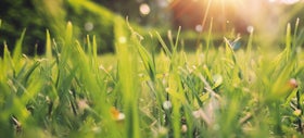 Maak je tuin klaar voor het voorjaar