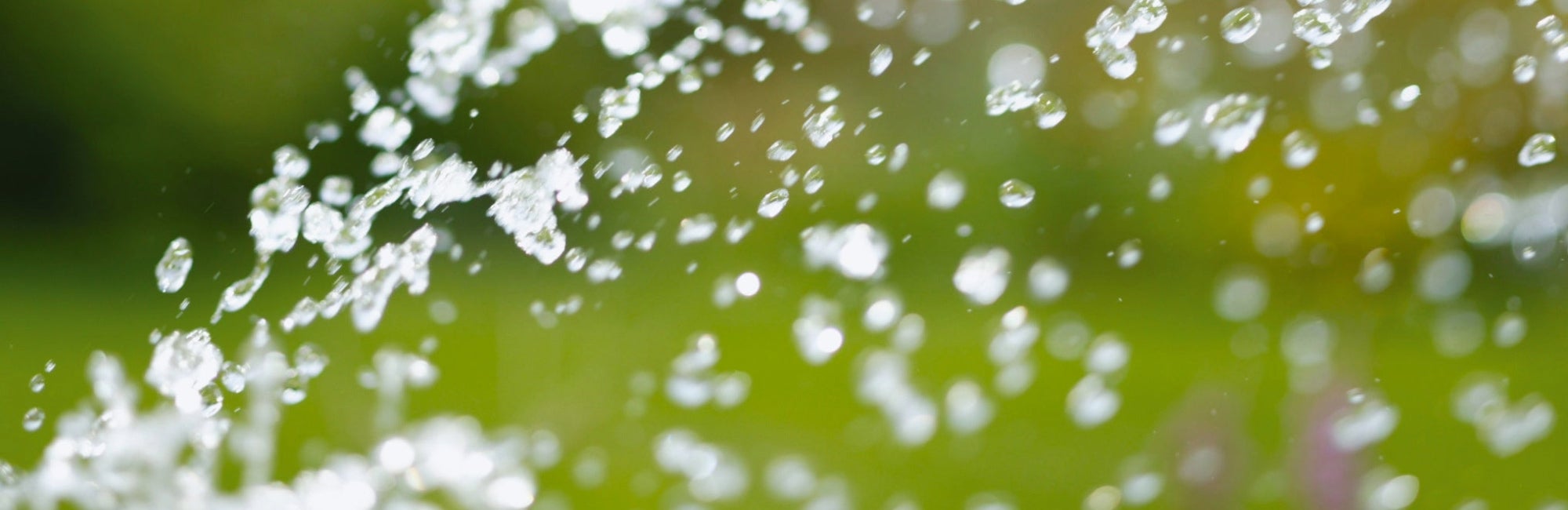 Verstandig watergeven in de tuin Verstandig watergeven in de tuin