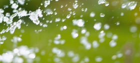 Verstandig watergeven in de tuin