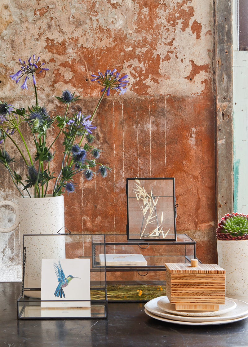 De Rebellenclub De Rebellenclub bij Nijhof