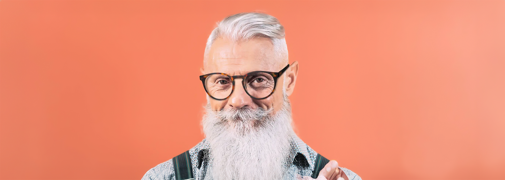 Looplabb Papillon bij Nijhof