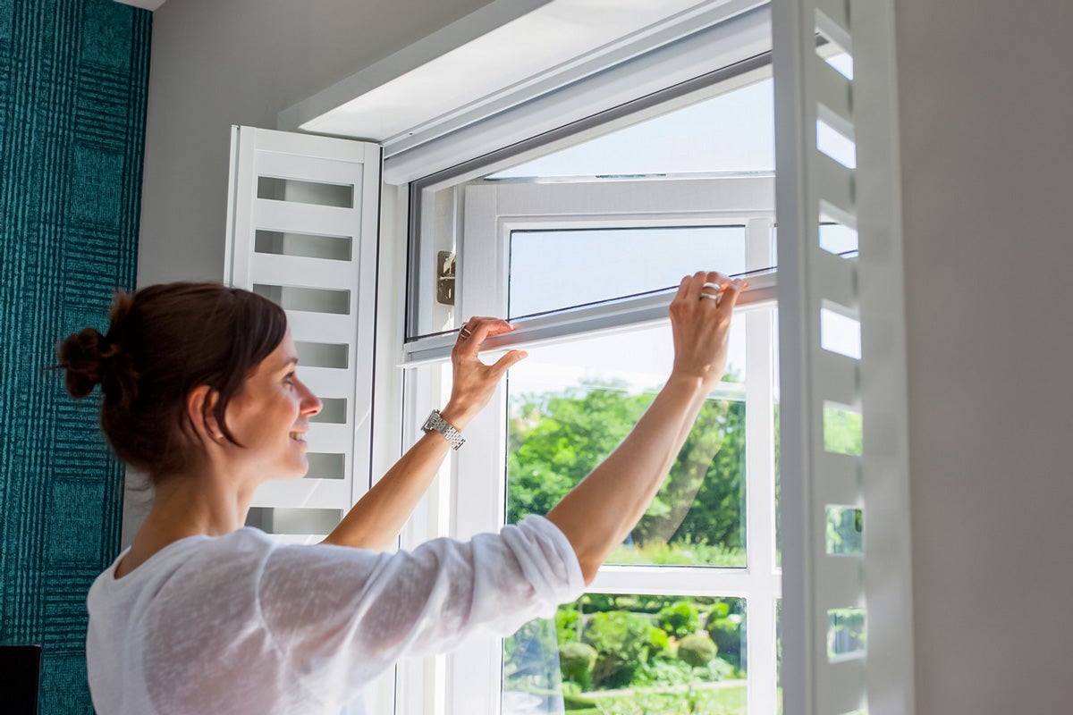 Raamhorren Raamhorren bij Nijhof