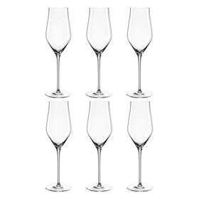 Champagneglas - Brunelli Set van 6 glazen - Transparant