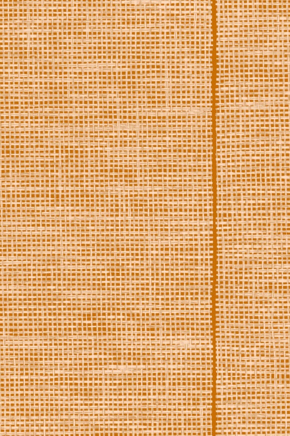 Vliesbehang - Le Raphia Tisse Mandarine - 8,50 m x 70 cm.