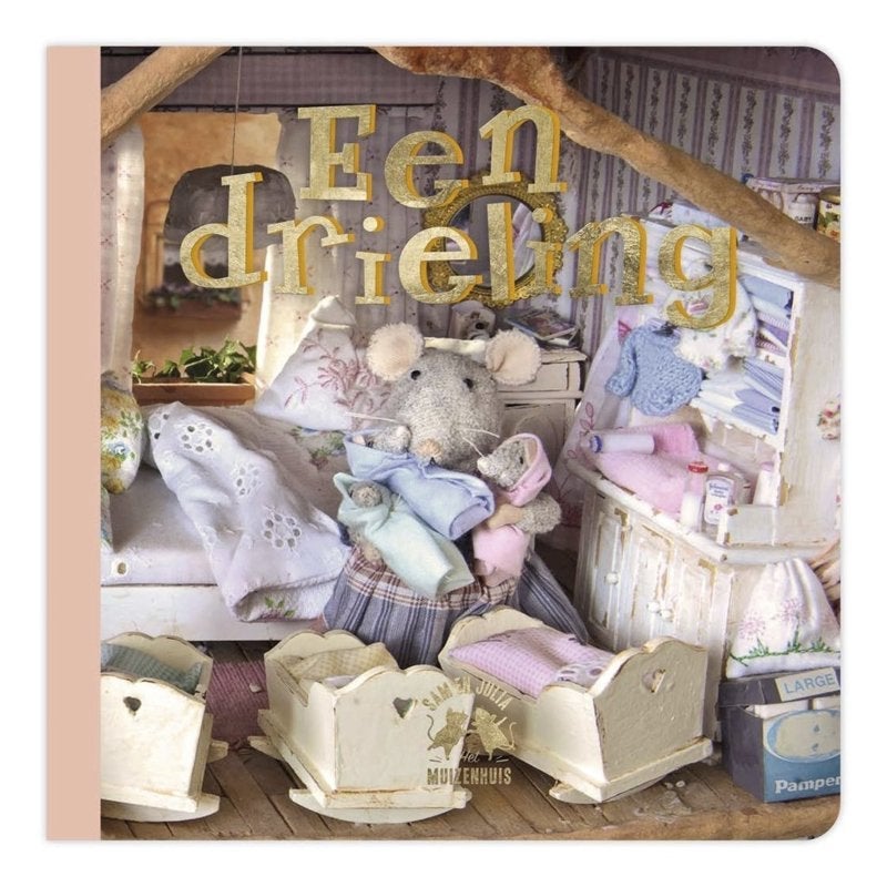 Boek - Sam en Julia Een Drieling - Multi