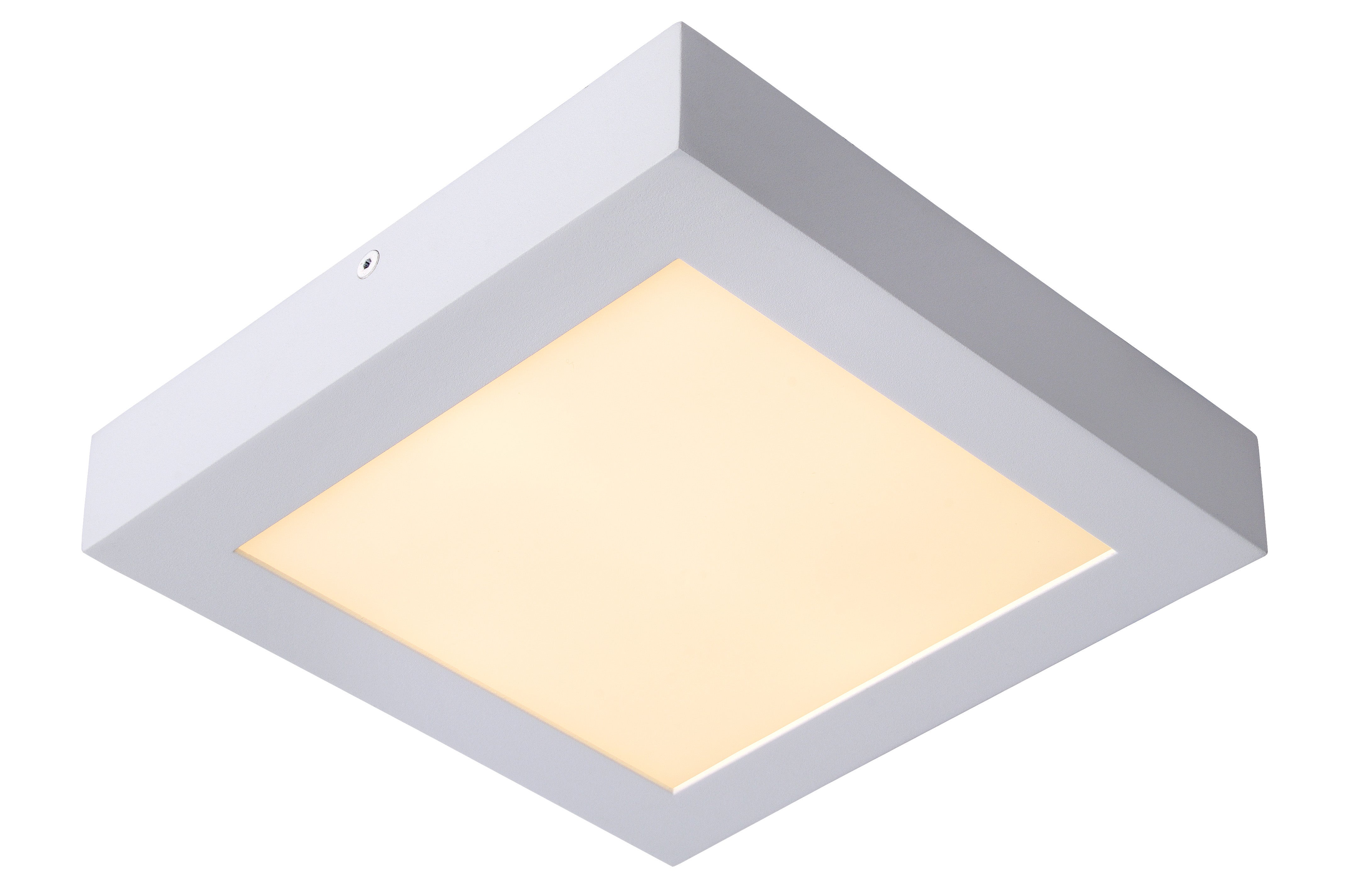 Plafonnière Badkamer - BRICE-LED Plafonnière Badkamer LED Dimb. 1x22W 3000K IP44  - Wit