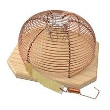 Muizenval - Diervriendelijk 