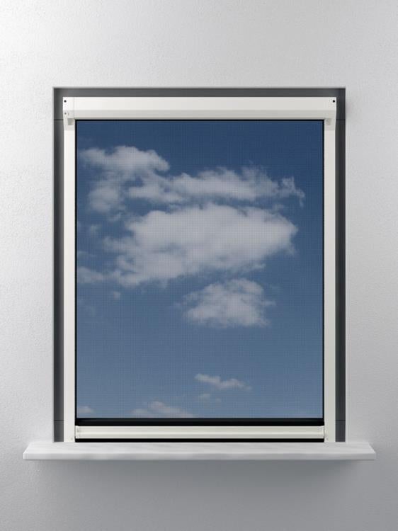 Rolhor raam Plus 63x155 wit wit