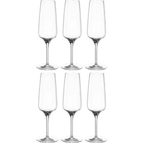 Champagneglas - Champagneflûte 240ml set van 6 glazen - Transparant
