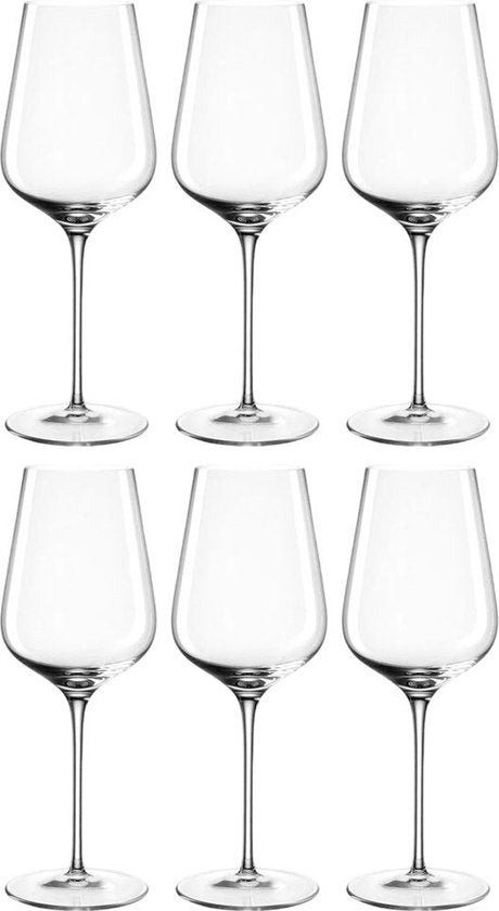 Wijnglazenset - Rieslingglas set van 6 glazen 470ml - Transparant