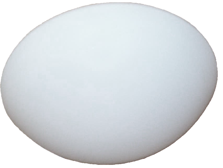 Plafonnier - Bajonet Ø25cm - Wit