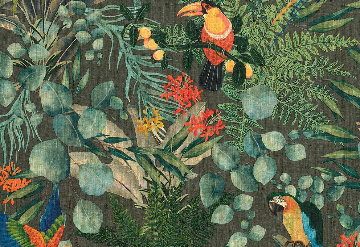 Vinylbehang - Lemuria Parrot 10,05m x 0,70m - Donker Grijs 