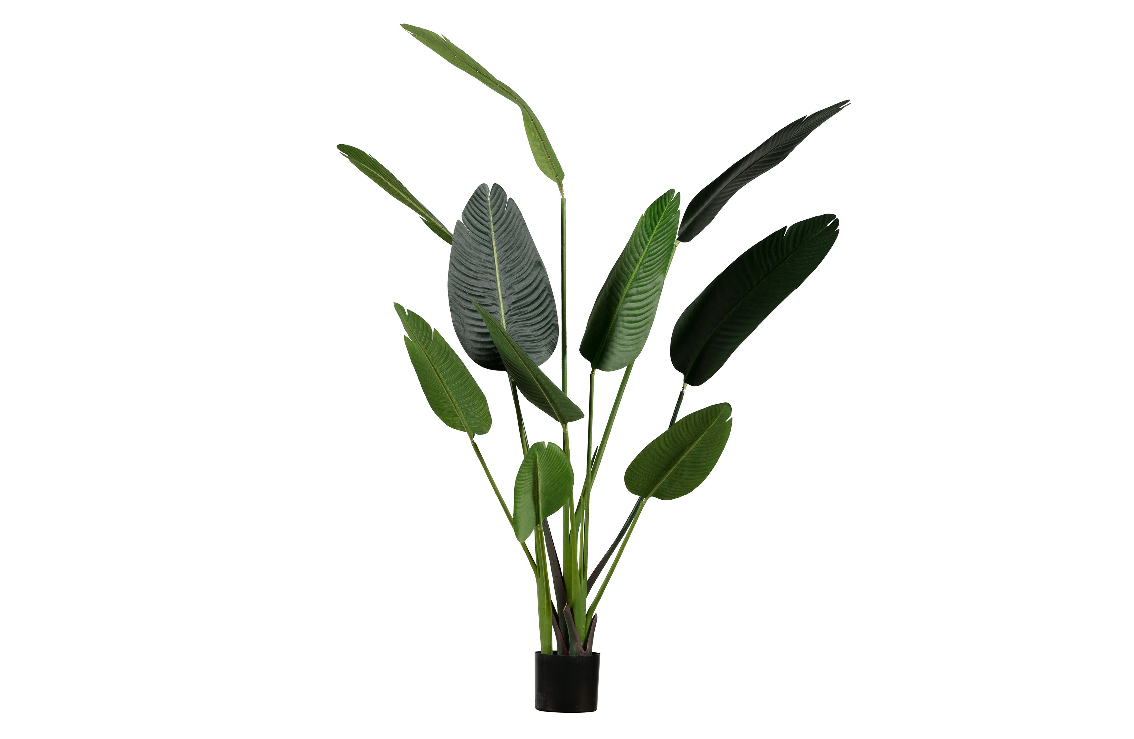 Strelitzia - Kunstplant - Groen - 164 cm.