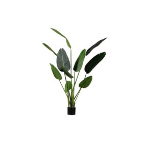 Strelitzia - Kunstplant - Groen - 164 cm.