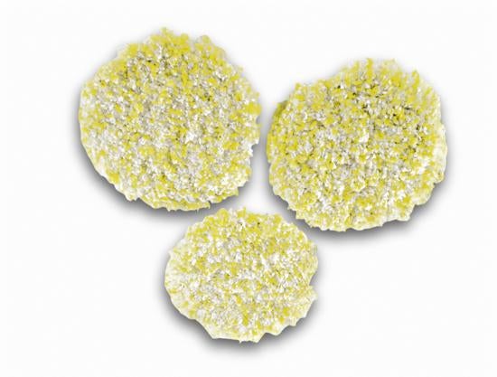 Kärcher Polierpads FP 303 Steen/Linoleum/PVC (3 st.)