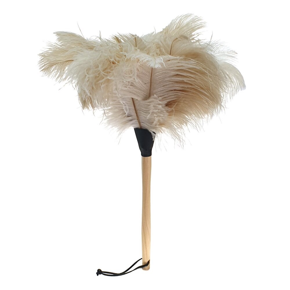 Plumeau - Struivogelveren  - Wit