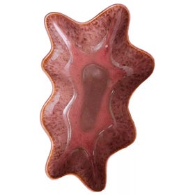 Serveerschaal - Coral - Shell