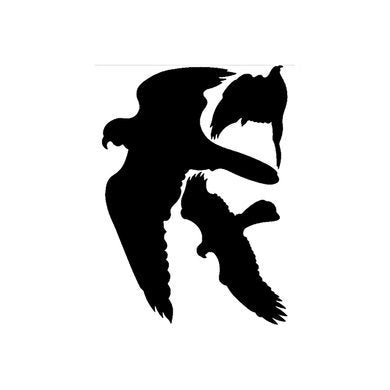 Pickup raamdecoratie vogelsilhouet