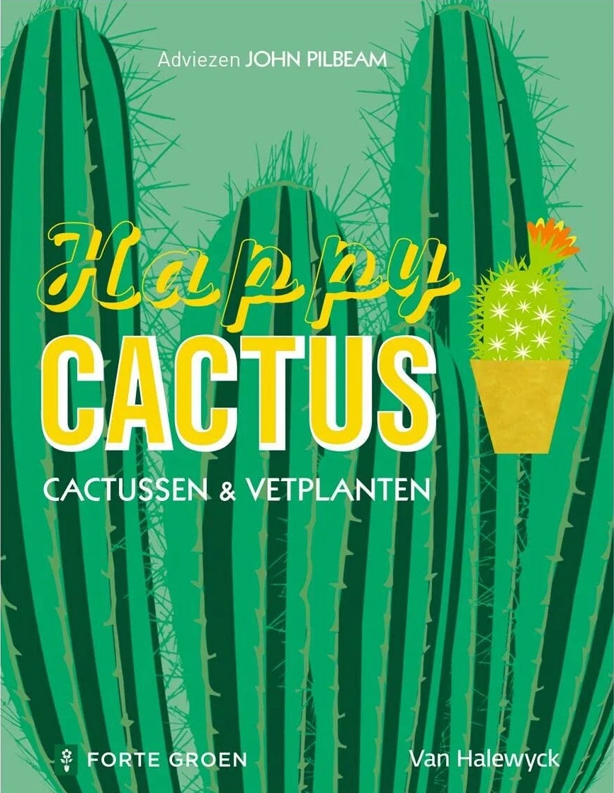 Happy cactus - John Pilbeam