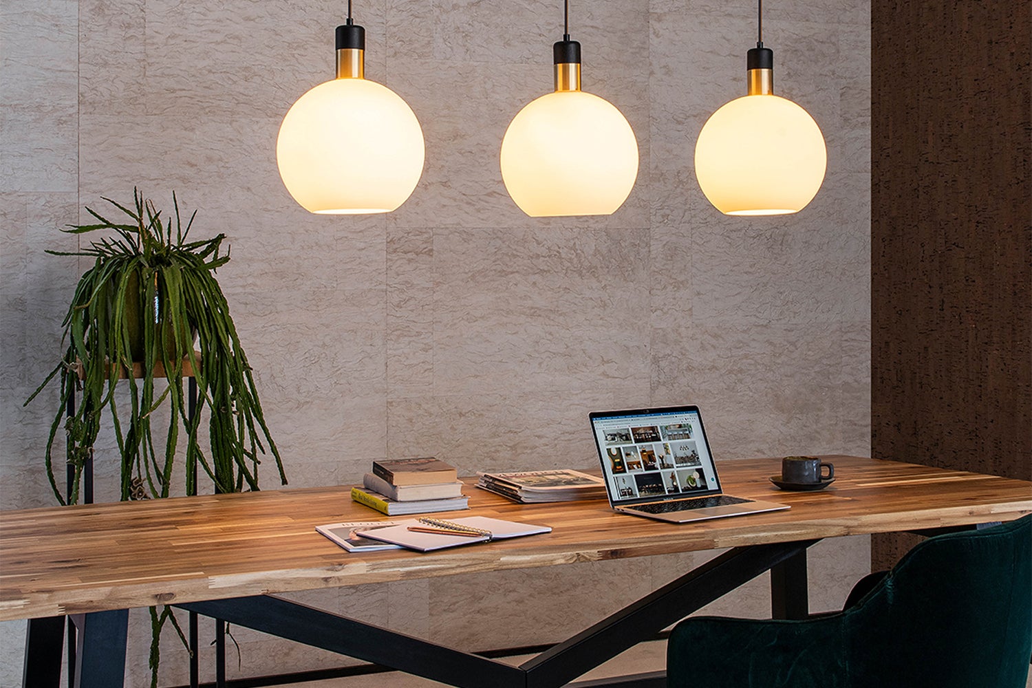 Lucide Lucide bij Nijhof